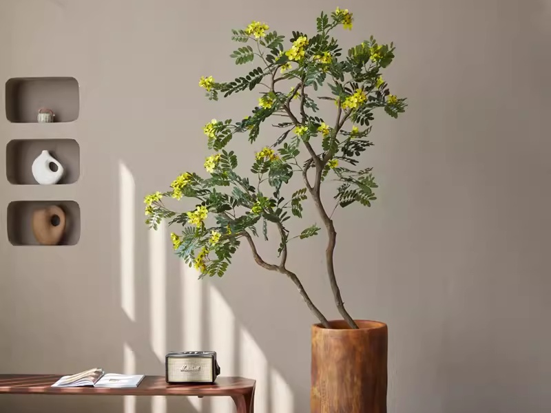 những cây cảnh trong nhà dễ trồng giúp thanh lọc không khí